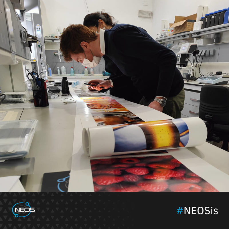 NEOSis Research and Development